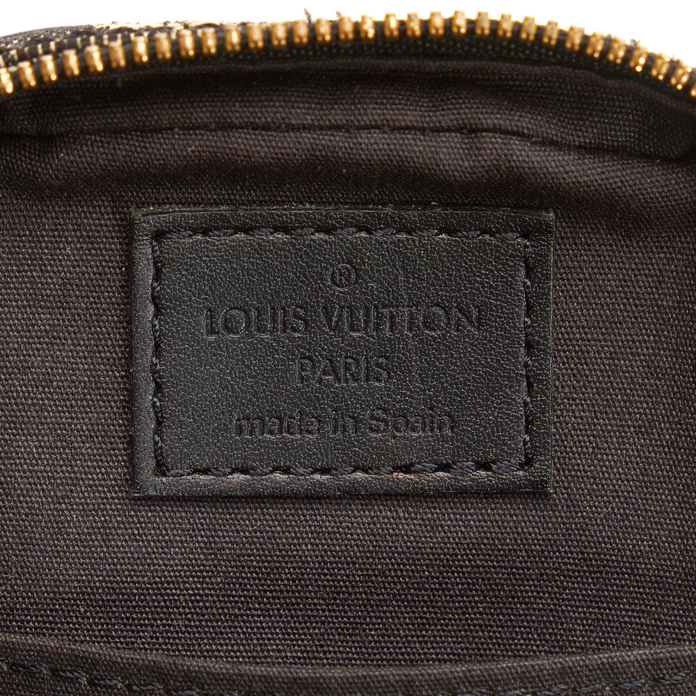 LOUIS VUITTON Monogram Mini Lin Camera Bag - Picture 6 of 10